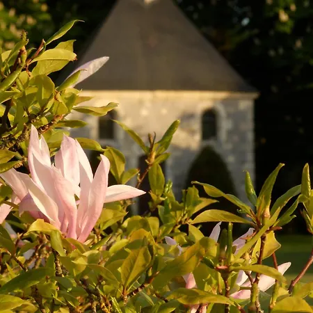 Domaine Chateau La Mothaye-self Catering Gites- Shared Pool- Loire Valley Дом отдыха Les Bois-d'Anjou